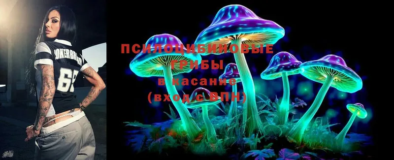 купить  сайты  Знаменск  Псилоцибиновые грибы Magic Shrooms 